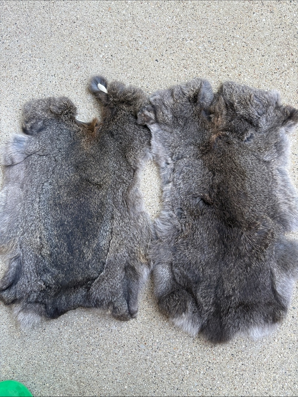 B0180 pair rabbit pelts